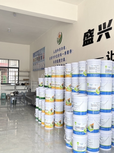 鱼泡网