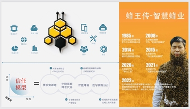 鱼泡网