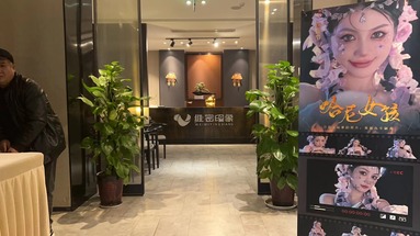 鱼泡网