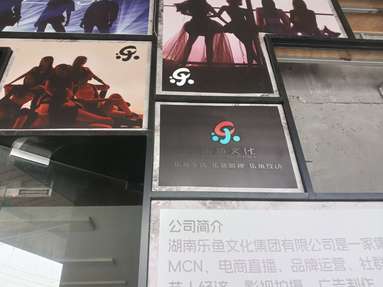 鱼泡网