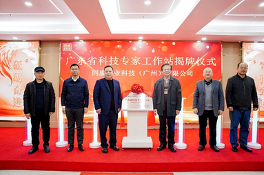 鱼泡网