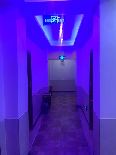 魚泡網