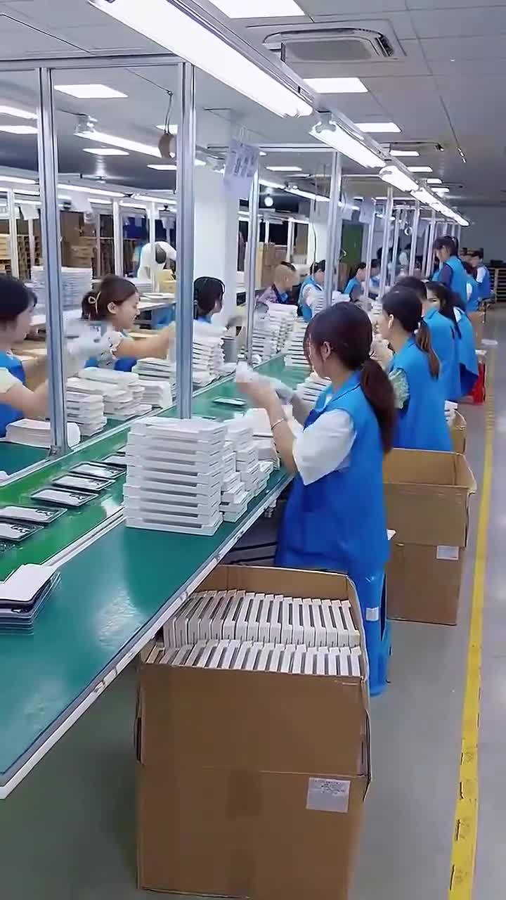 鱼泡网