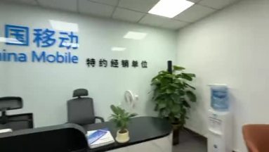 鱼泡网