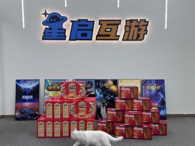 鱼泡网