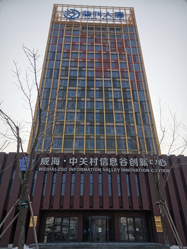 鱼泡网