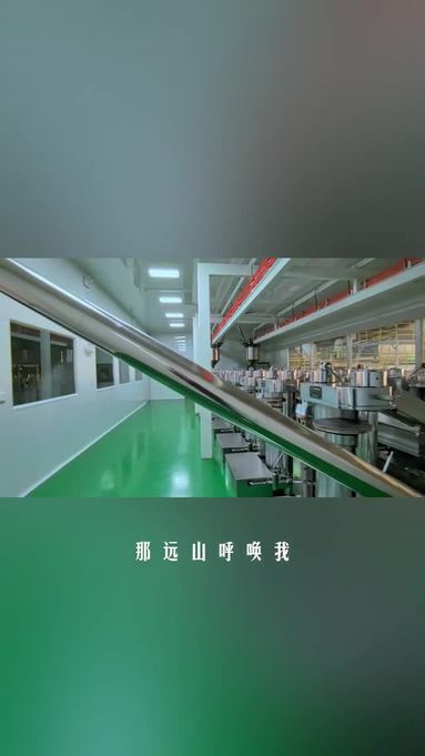 魚泡網(wǎng)