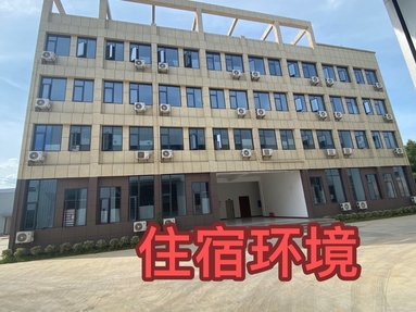 魚泡網