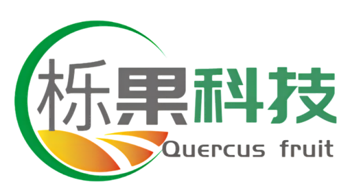 魚泡網(wǎng)