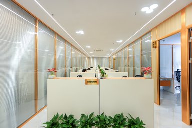 鱼泡网
