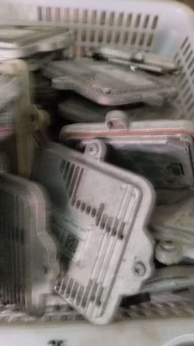 魚泡網