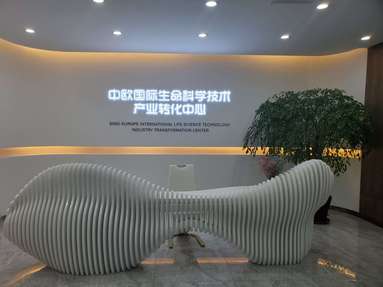 鱼泡网