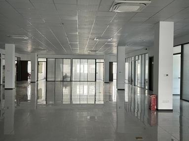 鱼泡网