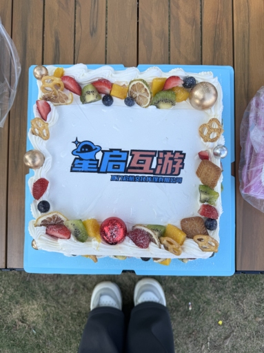 鱼泡网