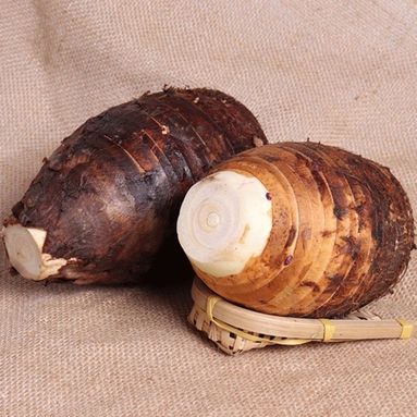 鱼泡网