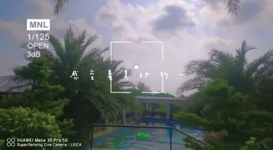 公司带你去大海
