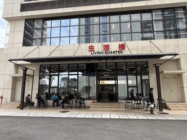 鱼泡网