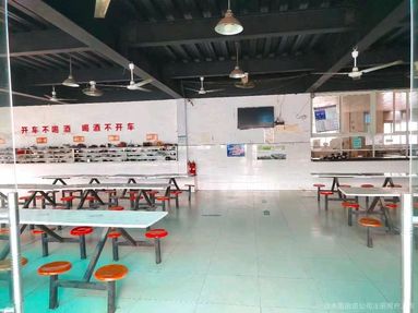 鱼泡网