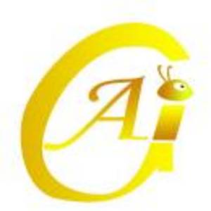 煙臺(tái)市金螞蟻投資有限公司