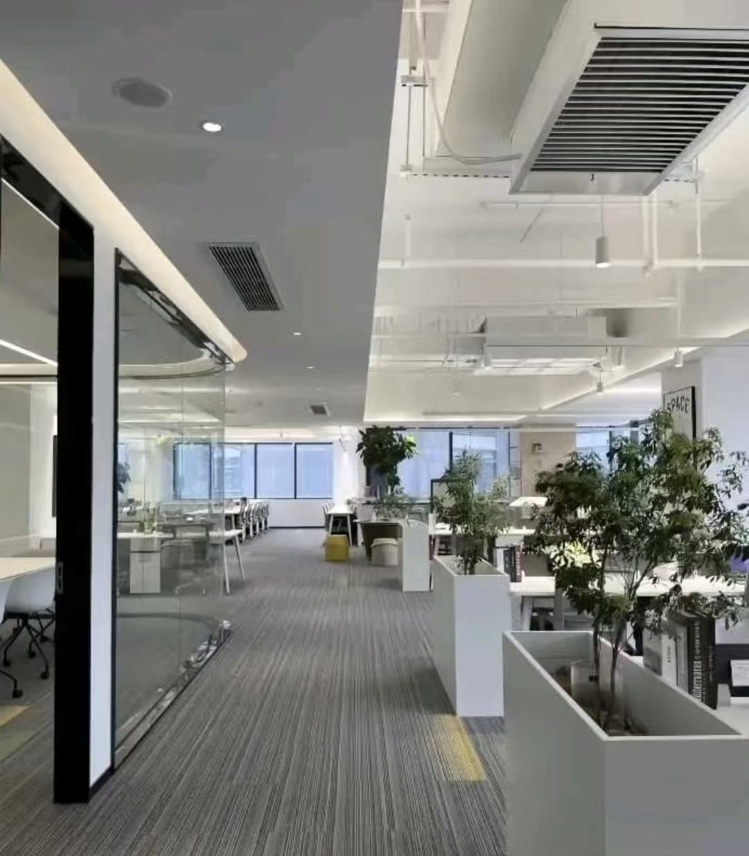 鱼泡网