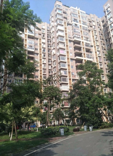 魚泡網