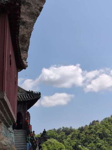 鱼泡网