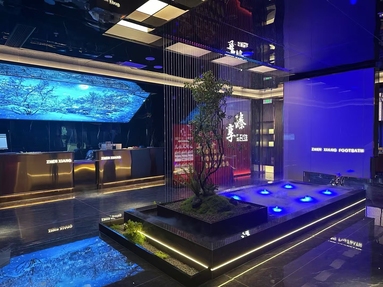 魚泡網