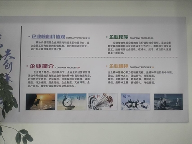 鱼泡网