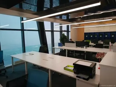 鱼泡网