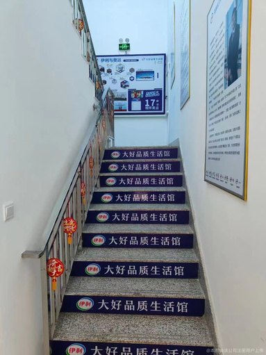 魚泡網
