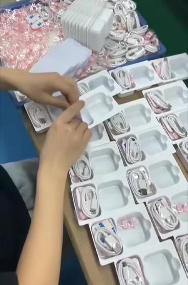 鱼泡网
