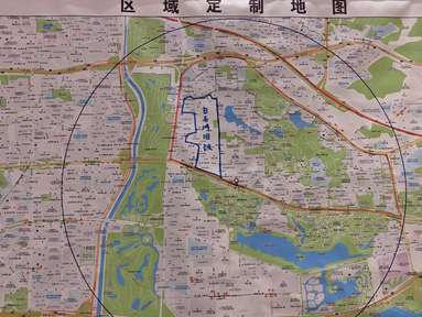 鱼泡网