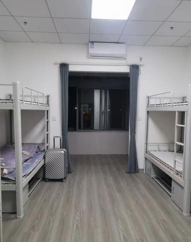 鱼泡网