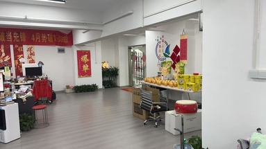 魚泡網
