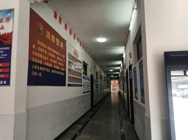 鱼泡网