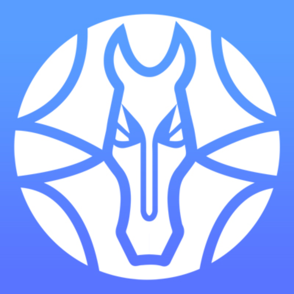 魚泡網(wǎng)