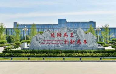 鱼泡网
