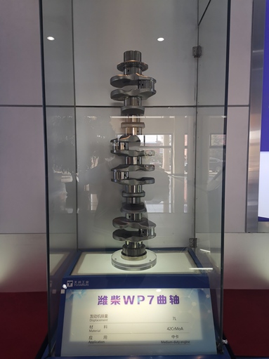 魚泡網(wǎng)