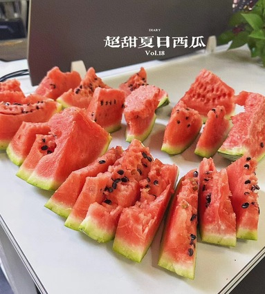 魚泡網(wǎng)