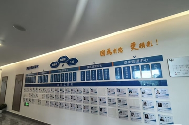 鱼泡网