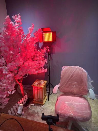 鱼泡网