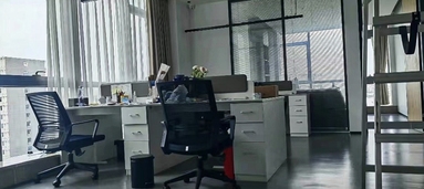 鱼泡网