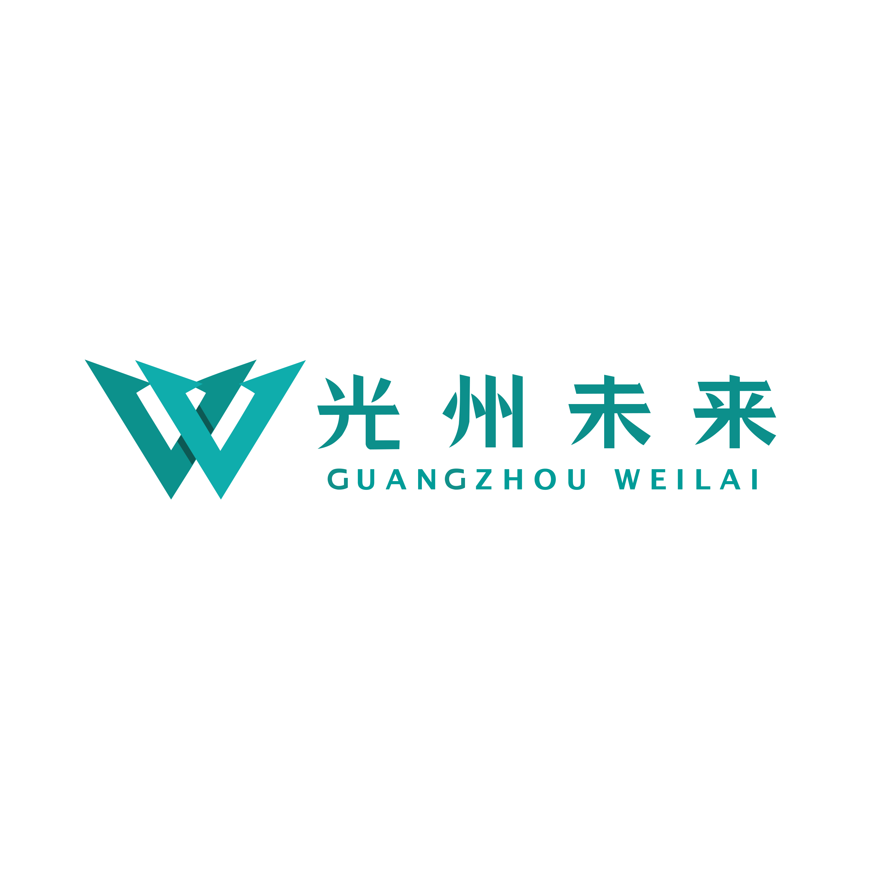 魚泡網(wǎng)